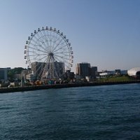 ferriswheel(@ferriswheel1192) 's Twitter Profile Photo