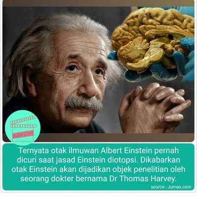 Gugumgu79596908's profile picture. 