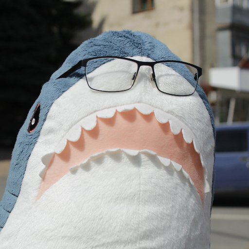 TheSKYwaLLkeR's profile picture. 