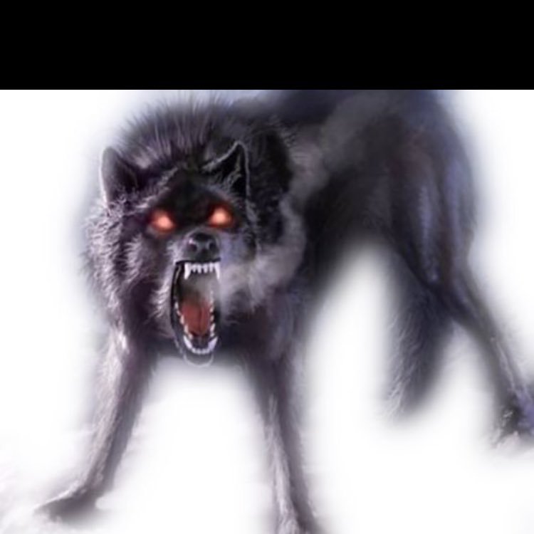 1_aannaa's profile picture. سبحان الله العظيم