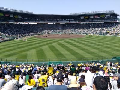 野球大好き！甲子園大好き！
阪神タイガース応援してます🐯