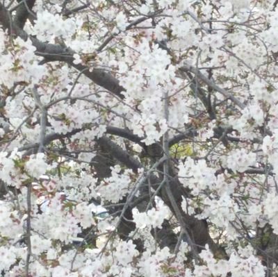 9hMG8MxoY5lJ9gT's profile picture. 