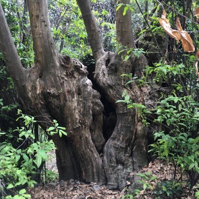 hakimbel77's profile picture. Solo quiero ser feliz!!!!