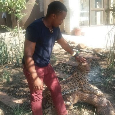 lucky_spinanzo's profile picture. fit