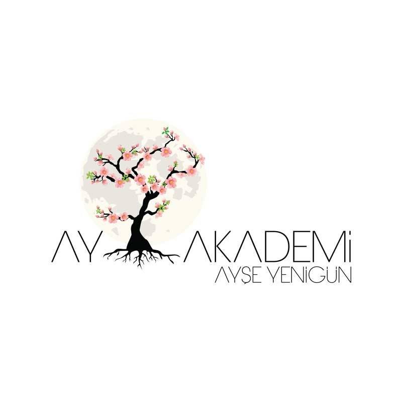 Ay Akademi