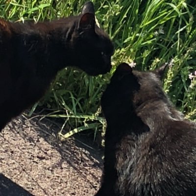 CGisEB6LM7hMKO5's profile picture. 