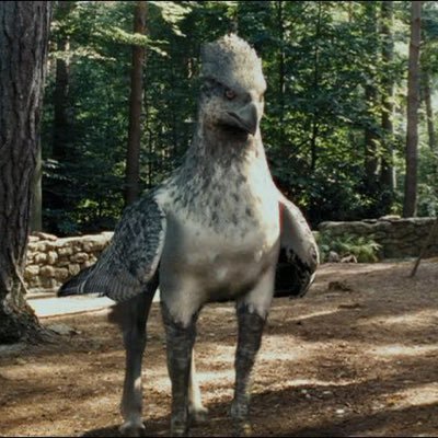 bucky_off's profile picture. 🔥 WT 🔥 Drago 🖕🏼 Hagrid et Sirius c’est le sangggg ❤️