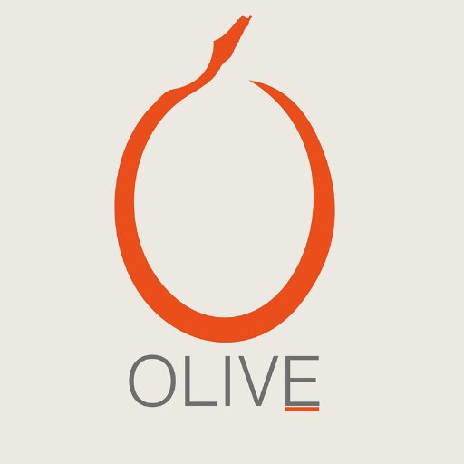 Olive's aim is Mobilising Palestinian youth by raising awareness, enabling and empowering them.
