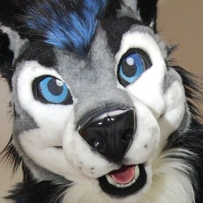 Electrical Engineer | Semiconductor engineering | Fursuitter: Wolf, Elk, RedXIII | Loves music | Horses | Video games | Cars | Motorcycles | Beer | DJ |