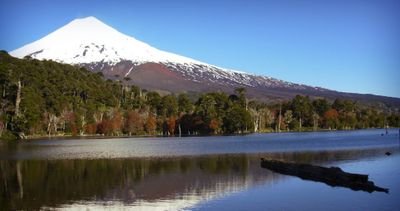 Shheerro's profile picture. .