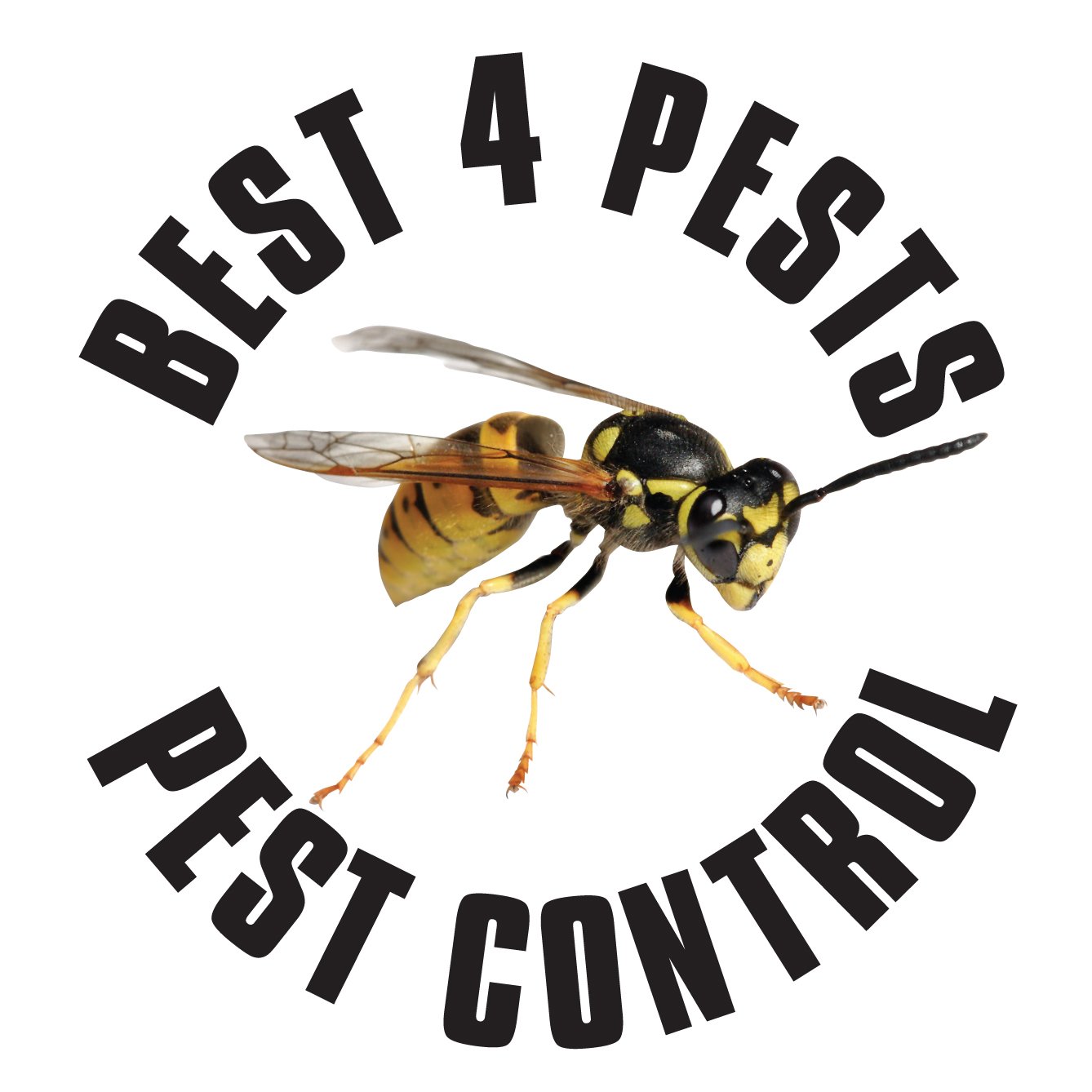 Best4Pests are independent pest control specialists who operate throughout the areas of  Nottinghamshire, Newark and Chesterfield 01623 423788