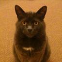 Laura Rowley - @showtime_girl - Twitter