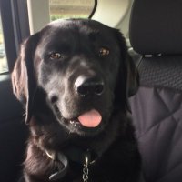 follow douglasfirtree on BlueSky (@dsmithberkeley) 's Twitter Profile