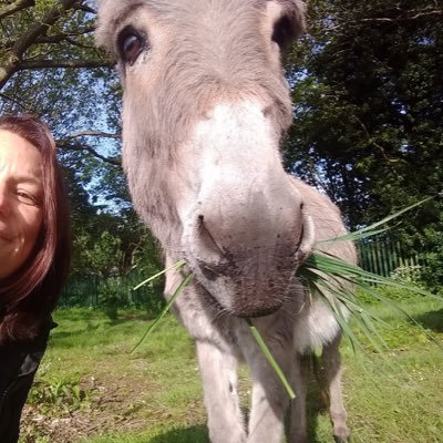 A working community farm offering Alternative Provision and Equine Assisted Therapy to local young people. Part of @VicAcademies & based @BCoppiceAcademy #FIDES
