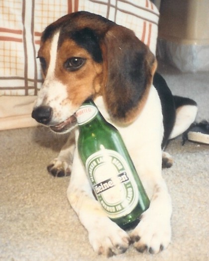 MCrisis's profile picture. Often Thoughtless, Never Speechless