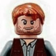 starlord | dinosaur lover | heart stolen by @legotomholland | Actor | fucking retarded | LEGO | BLM