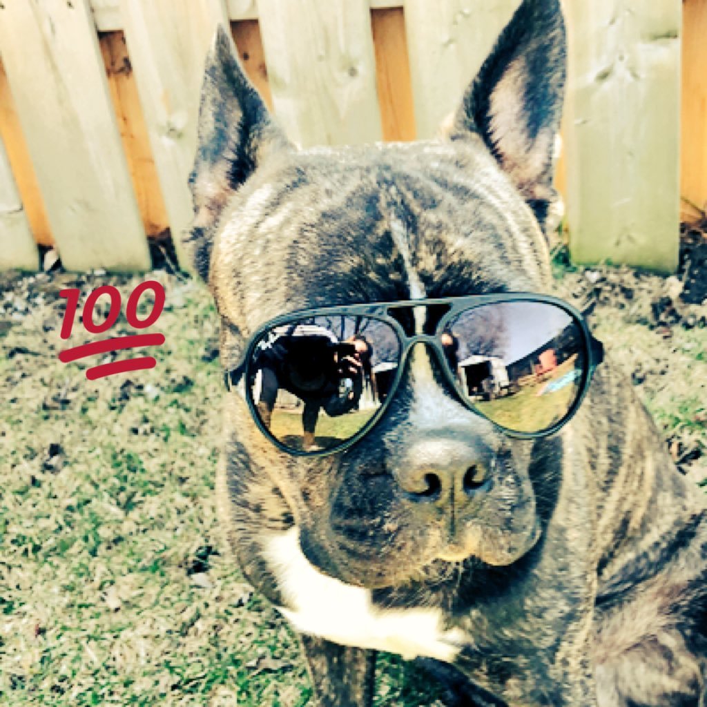 dbfactor's profile picture. TBD