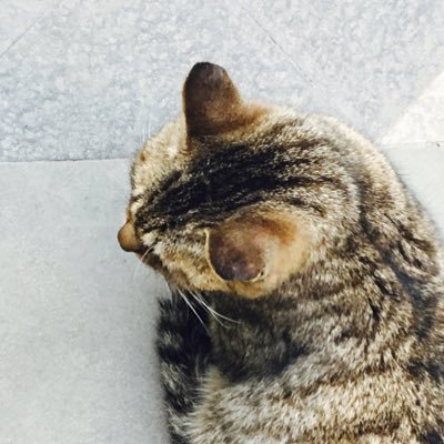 老Eさんのプロフィール画像