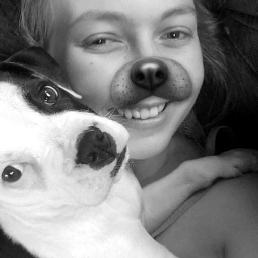 conarmy98's profile picture. 22 year old girl who loves horses, dogs, playing video games, rock music and Detroit: Become Human 🐴 💙