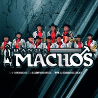 BANDA MACHOS (@bandamachos) 's Twitter Profile