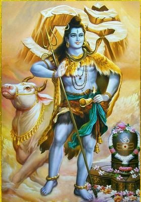 6Fa5zNv62iz7Cl3's profile picture. அறம் செய விரும்பு