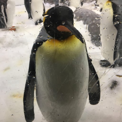 BallisticMishra's profile picture. 