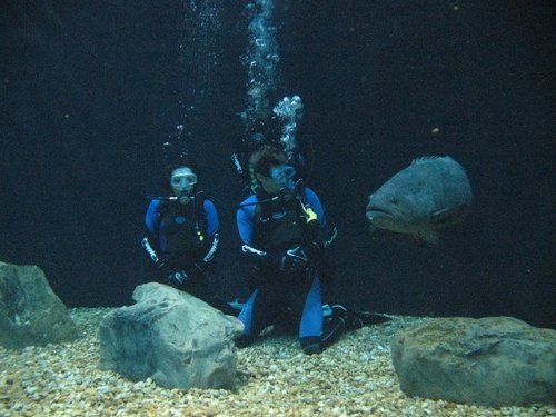 TClaytorAPR's profile picture. Owner TC Strategic Communications, Fan of Animals, Proud Dad and Husband...always something to say and acting silly.