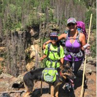 Anne Dutton (@annedutton12) 's Twitter Profile