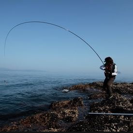 磯釣りをこよなく愛する釣り人です。