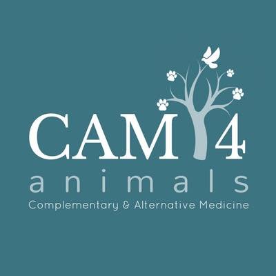 Promoting & supporting fully integrated holistic animal health by enabling you to find out about & access complementary & alternative veterinary treatments