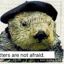 Lived in Denver, Paris, Monterey Boston & France. learning about bitcoin and really excited about Dogecoin---To the Moon!