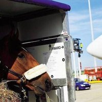 Air Horse Transport(@AirHorseTransp1) 's Twitter Profile Photo