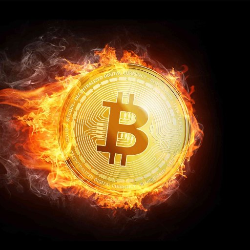 risyaazahra0413's profile picture. 