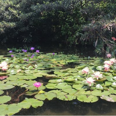 商業與金融 旅遊 評論 非營利組織 技術和科學 時尚與美容 生活方式