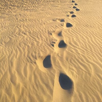 persoedisperso's profile picture. in Movimento tra Bergamo e Pavia. Trenord permettendo.