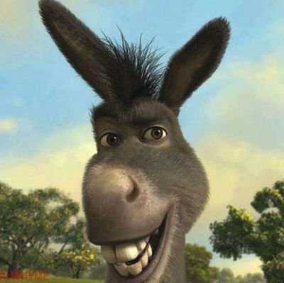 fba795b47de14c7's profile picture. 