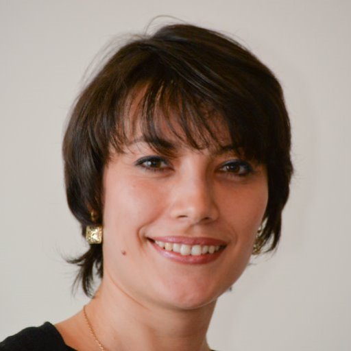 Fidan_A's profile picture. #Conseil et #stratégie en #webmarketing et #communication #SEO #SMO, #audit et plan d'action pour animer vos communautés.