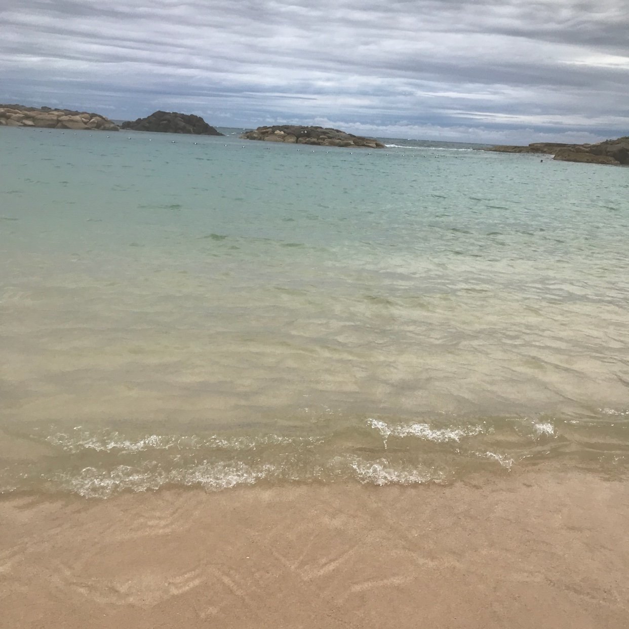 mikan_13k's profile picture. 13歳9歳男子の母です。好きなものは旅行/おいしいものとお酒/犬/ピアノ。今後の目標:毎日楽しく