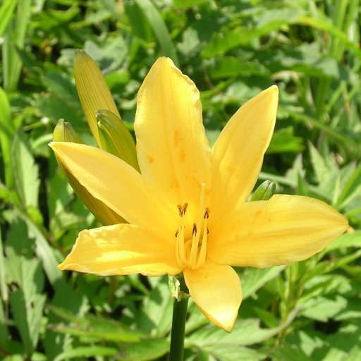 kittyomusanta's profile picture. 流れるまま…、気の向くまま…
のんびりいきますので、つぶやきは控えめ…
山歩き、写真、ガジェットすきなので、そっち系の情報重視かも…
主にリアルタイムの情報収集用に使うことが多いです