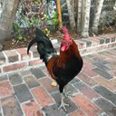 scott moberg - @ScottMoberg - Twitter