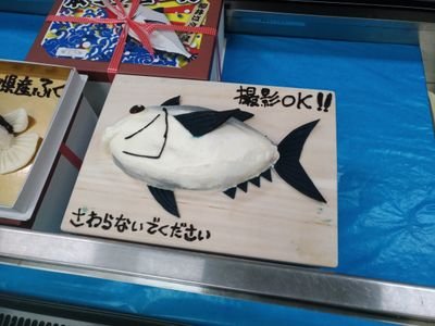 成人済み　カワカミャー
デジ一の練習に四苦八苦してます。