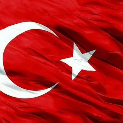 HasanKurkutlu's profile picture.