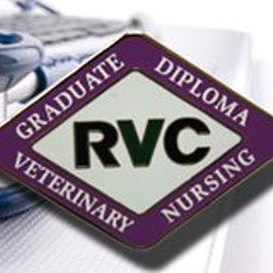 The Graduate Diploma in Professional and Clinical Veterinary Nursing is a unique distance-learning, advanced qualification for practicing RVNs #RVCGradDipVN