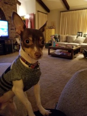 LisaYoung1984's profile picture. I am Carter's Yaya