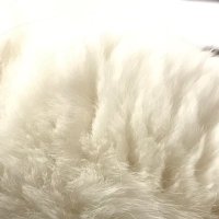 米 (@morinorio) Twitter profile photo