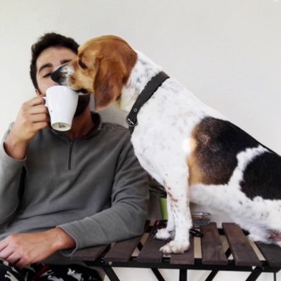 bruno_esteves's profile picture. Rejeito liminarmente escrever uma bio