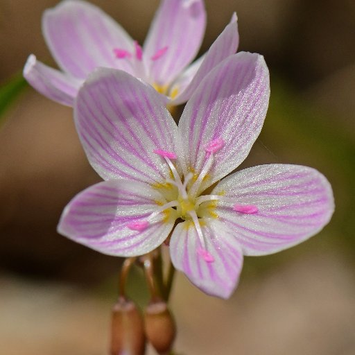 murphclan's profile picture. 