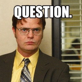 DwightOtter's profile picture. The bird, the bee, the running child are all the same to the sliding glass door