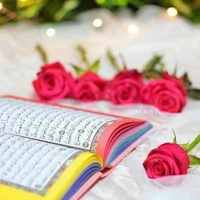 Ichalcassanova5's profile picture. Single