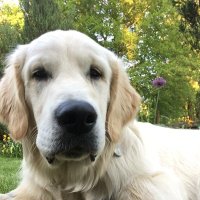 Donald Pond (@donaldpond6) 's Twitter Profile